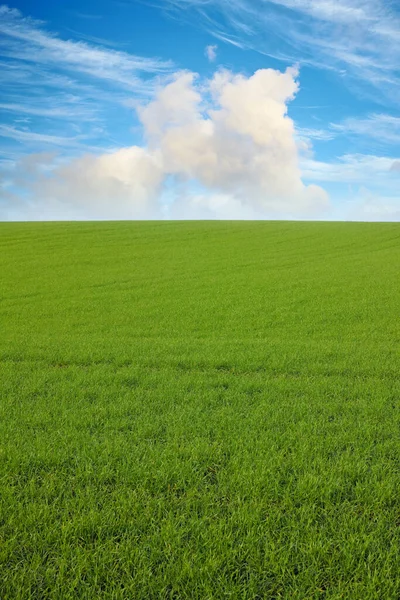 Verde Nuvole Cielo Blu Con Paesaggio Campo Spazio Mockup Fattoria — Foto Stock