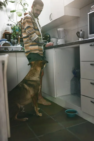 Por Favor Pouco Jovem Alegre Saindo Cozinha Com Seu Cachorro — Fotografia de Stock