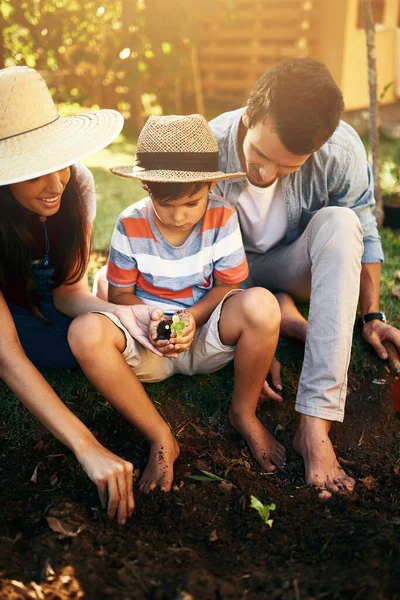 持続可能性 または家族としての農業のための庭に植えることを学ぶ父 母または子供 お父さん お母さん 親の園芸 家庭環境での少年農業の成長の植え付けや指導 — ストック写真