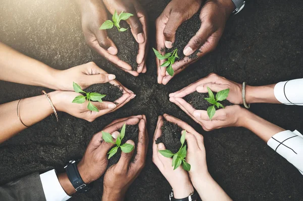Were All Responsible Growth Group People Holding Plants Growing Out — Stock Photo, Image