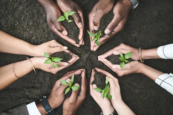 Майбутнє Наших Руках Група Людей Тримають Рослини Ростуть Ґрунту — стокове фото