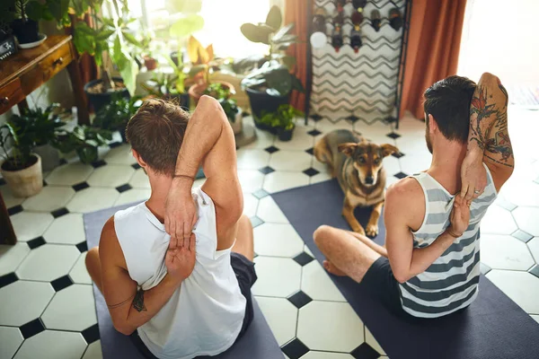 With inner strength comes physical strength. two men going through a yoga routine at home while their dog watches
