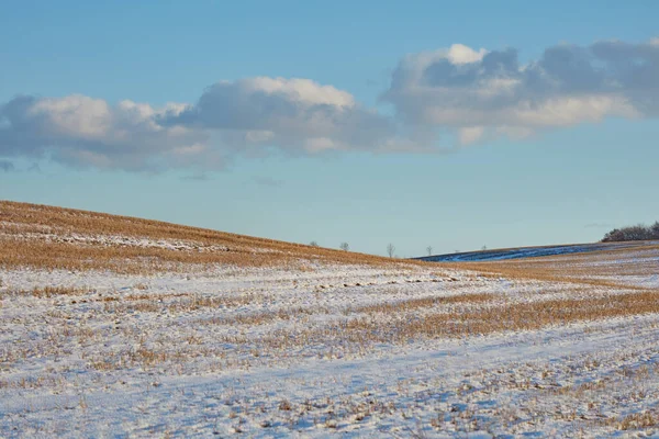 白雪覆盖着田野 农场或乡村的草地 覆盖着蓝天 农业或大自然的背景 德国的全球暖化 干旱和草地促进可持续的地貌景观或气候变化 — 图库照片