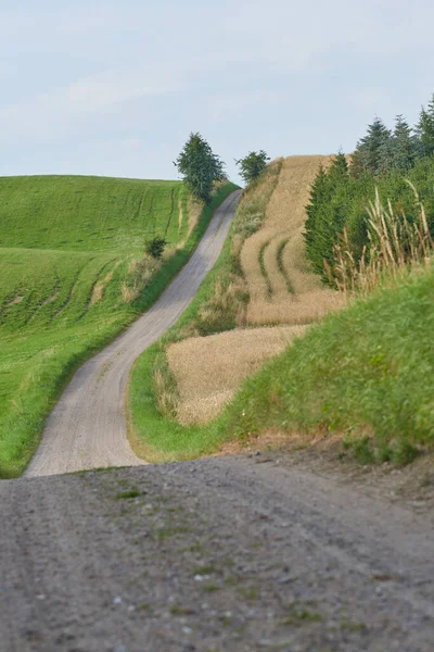 Δρόμος Μονοπάτι Στην Ύπαιθρο Και Τοπίο Ταξίδια Γεωργική Στη Δανία — Φωτογραφία Αρχείου