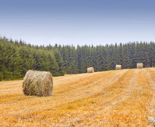 Fattoria Agricoltura Paesaggio Natura Balle Fieno Con Ambiente Posizione Agricola — Foto Stock