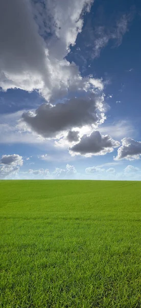 具有田园景观的自然 云和环境 可模拟农场的空间 山丘和生态 草和地平线 以及农村草地 以促进春天 农业和可持续性 — 图库照片