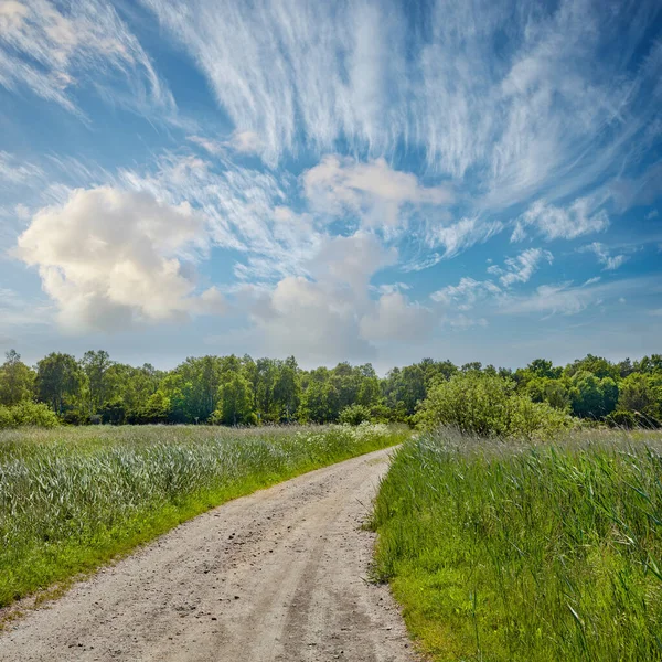 Špinavá Cesta Stezka Tráva Modrou Oblohou Venkově Pro Cestování Zemědělství — Stock fotografie