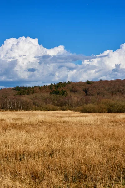 시골의 목초지를 하늘을 가능성 자연적 생태학적 — 스톡 사진
