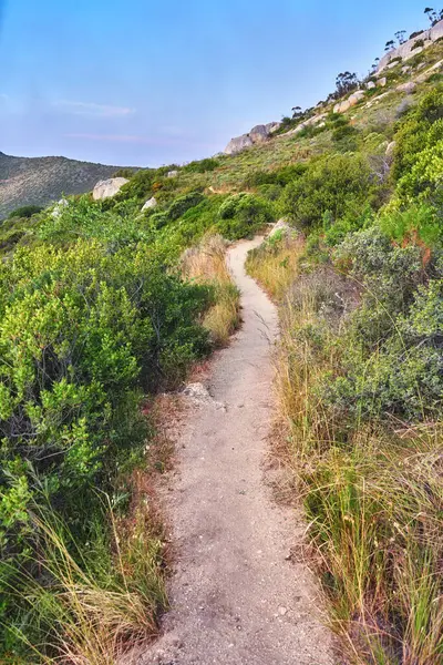 stock image Nature, hiking trail and plants on a mountain for an outdoor travel adventure in South Africa. Landscape, hill and gravel path for trekking journey with green trees in the scenic woods or forest