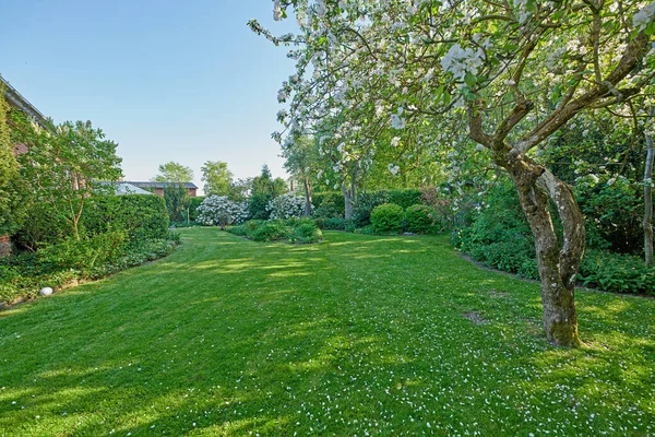 나라의 봄철이나 여름에는 뒷마당에 정원을 가꾸고 나무와 가꾸는 야외에서의 유지를 — 스톡 사진