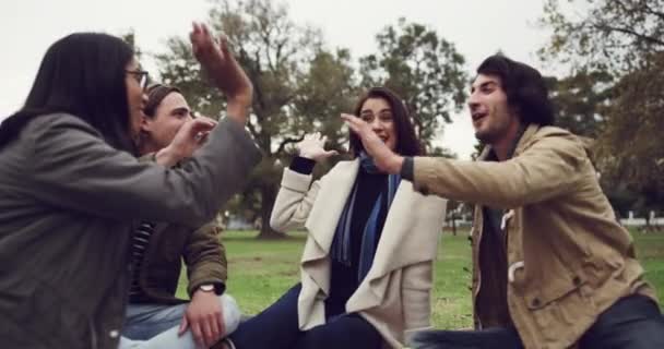 Çak Bir Beşlik Parkta Arkadaşlar Piknik Kaynaşma Özgürlük Kutlaması Için — Stok video