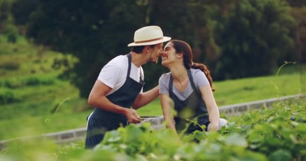 情侣亲吻 农场和笑为农业 结合快乐与平板 在为可持续农业耕作而耕作的土地上工作时 以爱心 浪漫和爱心亲吻 男人和女人 — 图库视频影像