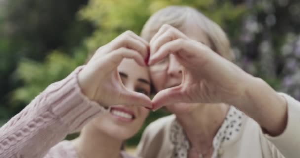 心手和年迈的母亲和女儿在户外微笑 拥抱或关怀 爱情和年迈的妈妈 与女人合影是为了爱情 家庭或信任 退休和搞笑 — 图库视频影像