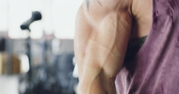 Haltérophilie Muscles Mains Avec Des Poids Pour Entraînement Musculation Exercice — Video