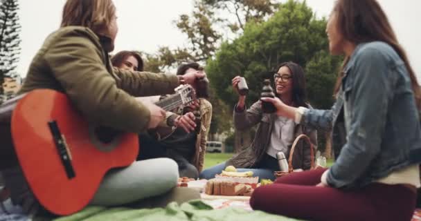 Picknick Skål Och Vänner Firar Parken Med Drinkar Semester Semester — Stockvideo
