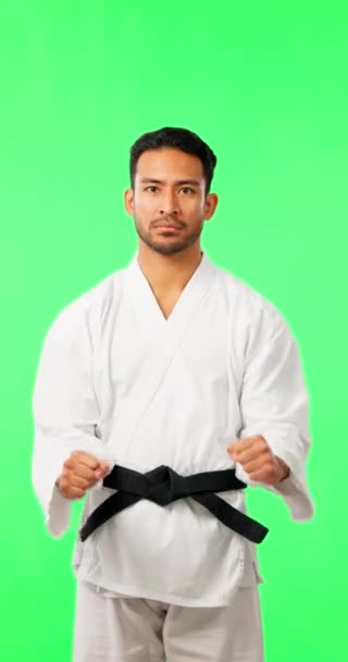 Arco Karatê Retrato Homem Tela Verde Com Disciplina Respeito Fitness — Vídeo de Stock