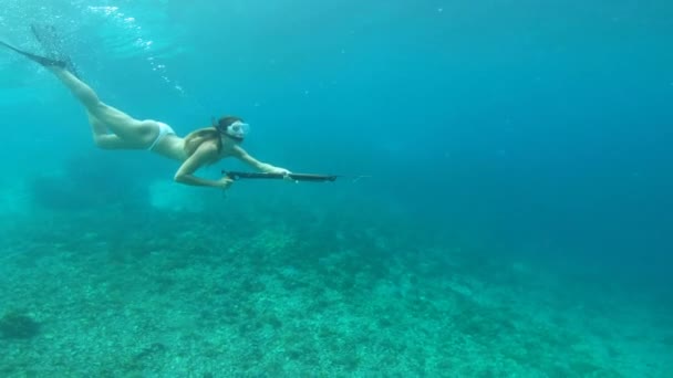 바다에서 수영을 낚시를 낚시를 낚시를 휴가를 즐기는 것이다 다이빙 낚시를 — 비디오