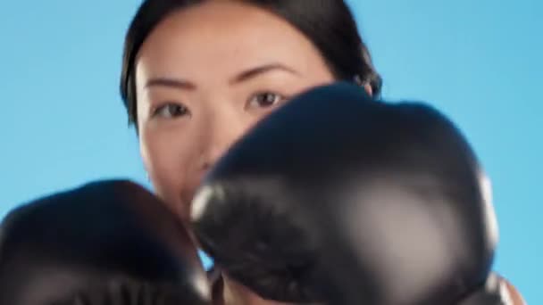 拳击手套 脸和女人冲着工作室 蓝色背景和运动的挑战 肖像画 女模和亚洲拳击手为健身 妈妈锻炼和锻炼力量而奋斗的动作训练 — 图库视频影像