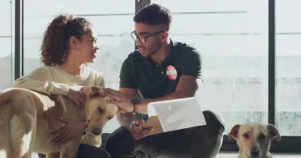 Hombre Mujer Perros Veterinario Con Papeleo Para Adopción Voluntariado Cuidado — Vídeo de stock