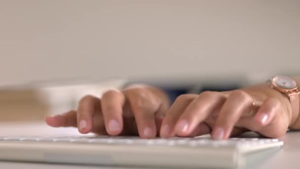 在办公室的计算机上输入妇女 人手和打字 用于数据规划 在线管理和网络更新 Closeup Worker Desktop Keyboard Technology Research — 图库视频影像