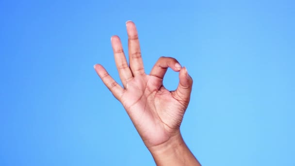 Hand Perfekt Und Okay Zeichen Von Person Unterstützung Abstimmung Oder — Stockvideo