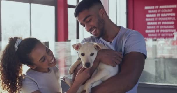 Adopción Refugio Animales Una Pareja Abrazando Perro Centro Rescate Para — Vídeo de stock