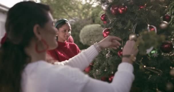 Les Femmes Plein Air Décorant Arbre Noël Ensemble Dans Une — Video