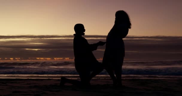 Love Silhouette Couple Beach Engagement Relationship Happiness Vacation Support Dark — Stock Video