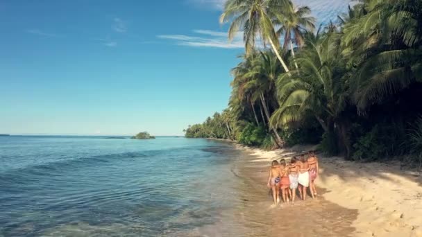 航空機や女性はモーリシャスでの冒険 休日や夏休みのためにビーチを歩く 春休み 旅行のために熱帯の海で友人のグループの旅行 リラックス ドローン — ストック動画