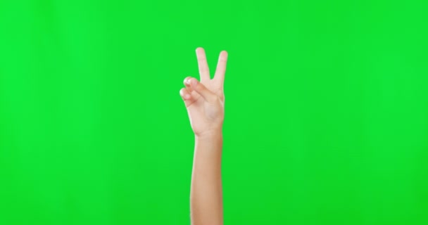 緑の画面と言語 記号やコミュニケーションのためのスタジオでの平和のサインの閉鎖 クロマキーで切り離された冷たい手のジェスチャーやアイコンの数 絵文字 ズーム — ストック動画