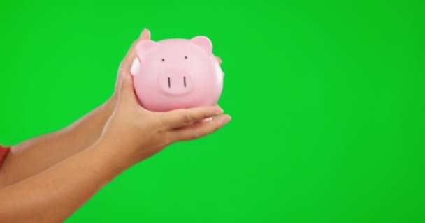 Piggy银行 提供并亲自进行绿色筛选 以获得储蓄 银行安全或财务管理 节约资金 提供集装箱和人员 资助教育和投资工作室背景 — 图库视频影像