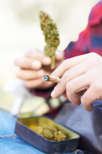 Marihuana Pączek Lub Ręce Ziołem Tępe Dla Spokoju Relaks Lub — Zdjęcie stockowe