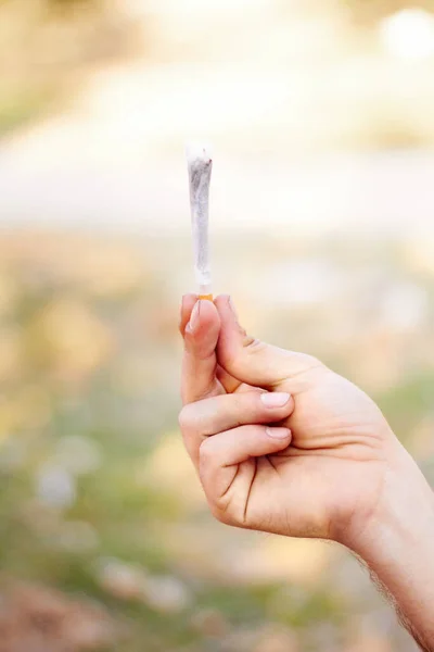 Marihuana Marihuana Lub Ręka Stawem Trawkowym Dla Spokoju Relaks Lub — Zdjęcie stockowe