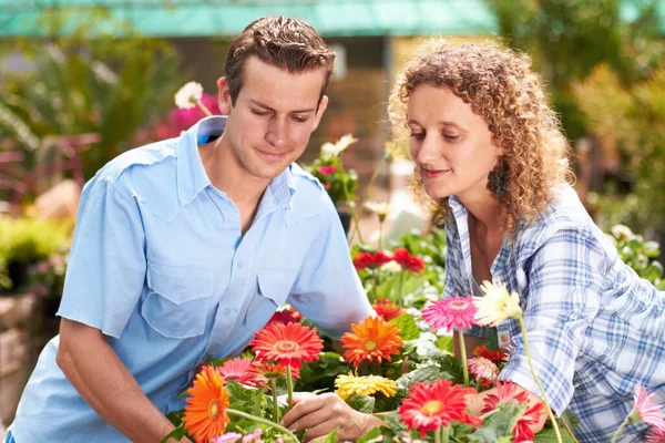 Jardin Fleur Serre Couple Avec Des Achats Plantes Choix Avec — Photo