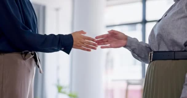 手指碰碰 握手和商务人士在办公室里玩乐 随意碰头或打招呼和祝贺 支持B2B交易 入职或目标成功的工作 有趣的朋友和握手 — 图库视频影像