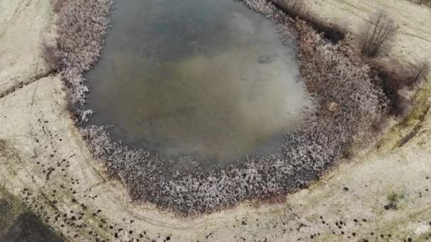 Aerea Lago Ghiacciato Paesaggio Forestale Natura Ecosistema Secco Ambiente Drone — Video Stock