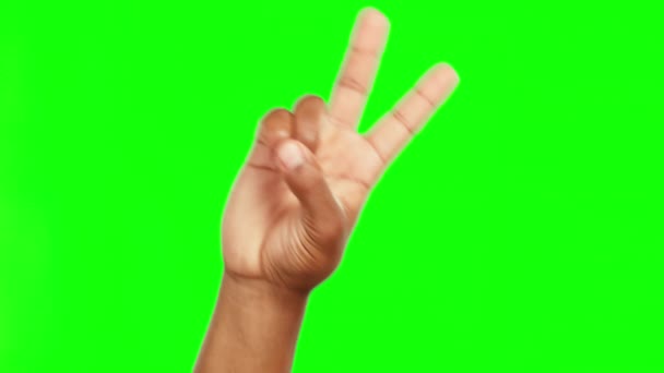 Persona Manos Paz Signo Pantalla Verde Para Publicidad Contra Fondo — Vídeos de Stock