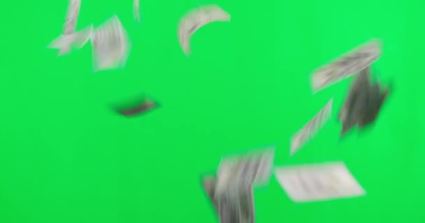 Зелений Екран Фінанси Готівка Падають Рахунки Заощадження Студійному Фоні Приз — стокове відео