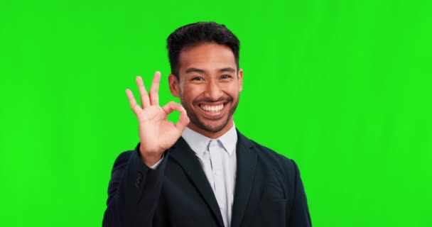 Adamı Gülümse Yeşil Ekranda Iyi Eleştiri Geri Bildirim Motivasyon Için — Stok video