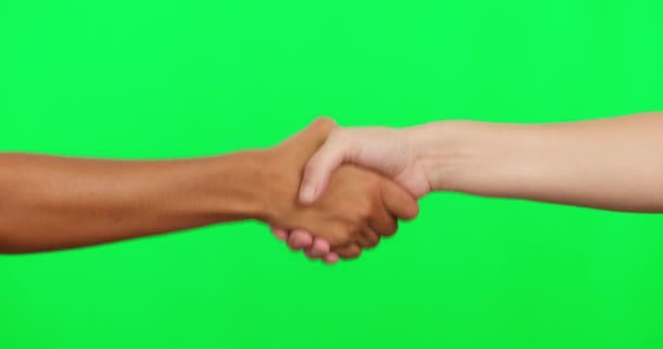 Händedruck Treffen Und Green Screen Zur Begrüßung Danke Und Unterstützung — Stockvideo