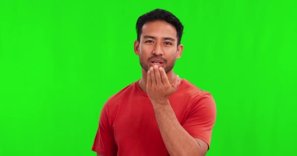 Twarz Mężczyzna Dmuchanie Pocałunek Zielonym Ekranie Tło Studio Dla Miłości — Wideo stockowe