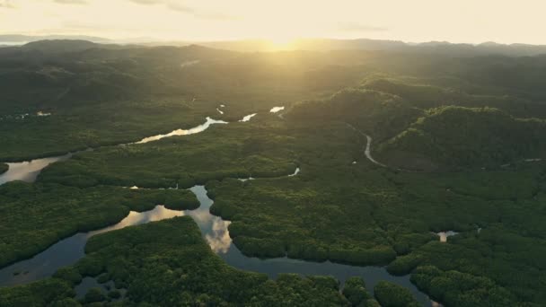Vista Aérea Pantano Fluvial Forestal Atardecer Terreno Con Árboles Verdes — Vídeo de stock