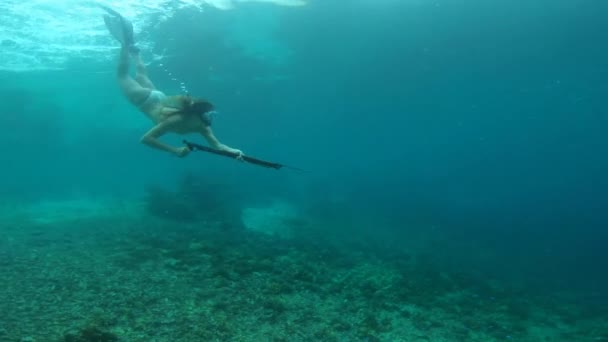 长矛和在海里钓鱼 打猎和冒险 度假和捕鱼的女人 旅游及使用鱼叉游泳在热带水域捕鱼的女性 — 图库视频影像