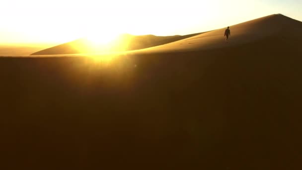 黎明笼罩在沙丘上纳米比亚沙漠中一名孤独男子沿着沙丘7行走的4K无人驾驶飞机镜头 — 图库视频影像