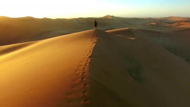 Podróże Pustynia Sylwetka Człowieka Zachodzie Słońca Dronem Celu Wolności Lub — Wideo stockowe