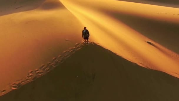 目的地 成功または夏の旅行のための無人機で日没時の人との旅行 砂漠および自由 ナミビアの休暇旅行で砂丘の地平線に男と足跡 冒険と旅 — ストック動画