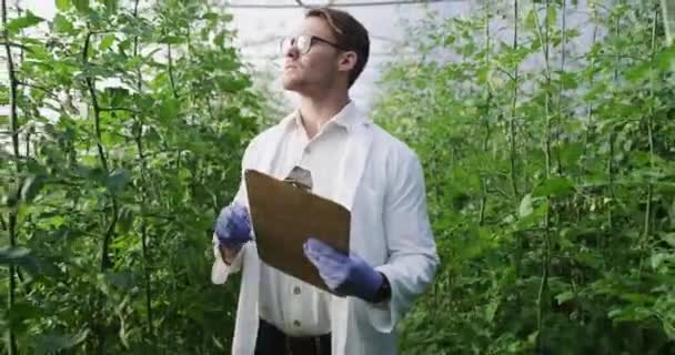 Checklist Plantenwetenschapper Mens Kas Van Eco Kruiden Groeiwetenschap Onderzoek Klembord — Stockvideo