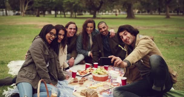 Piquenique Selfie Amigos Parque Com Vínculo Sorriso Nas Férias Verão — Vídeo de Stock