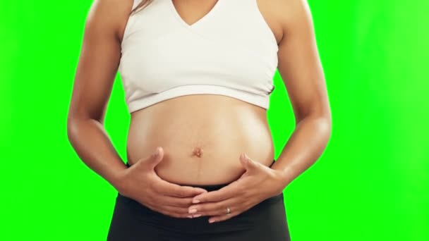Las Manos Embarazo Estómago Una Mujer Una Pantalla Verde Con — Vídeo de stock