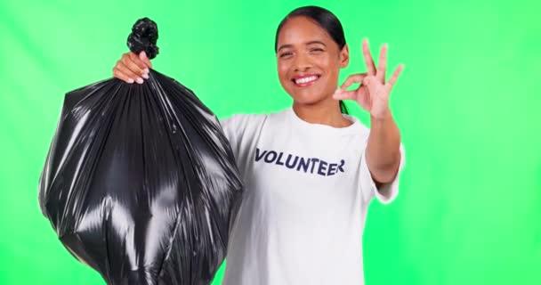 Cleaning Volunteer Woman Green Screen Trash Pollution Climate Change Support — Stock Video